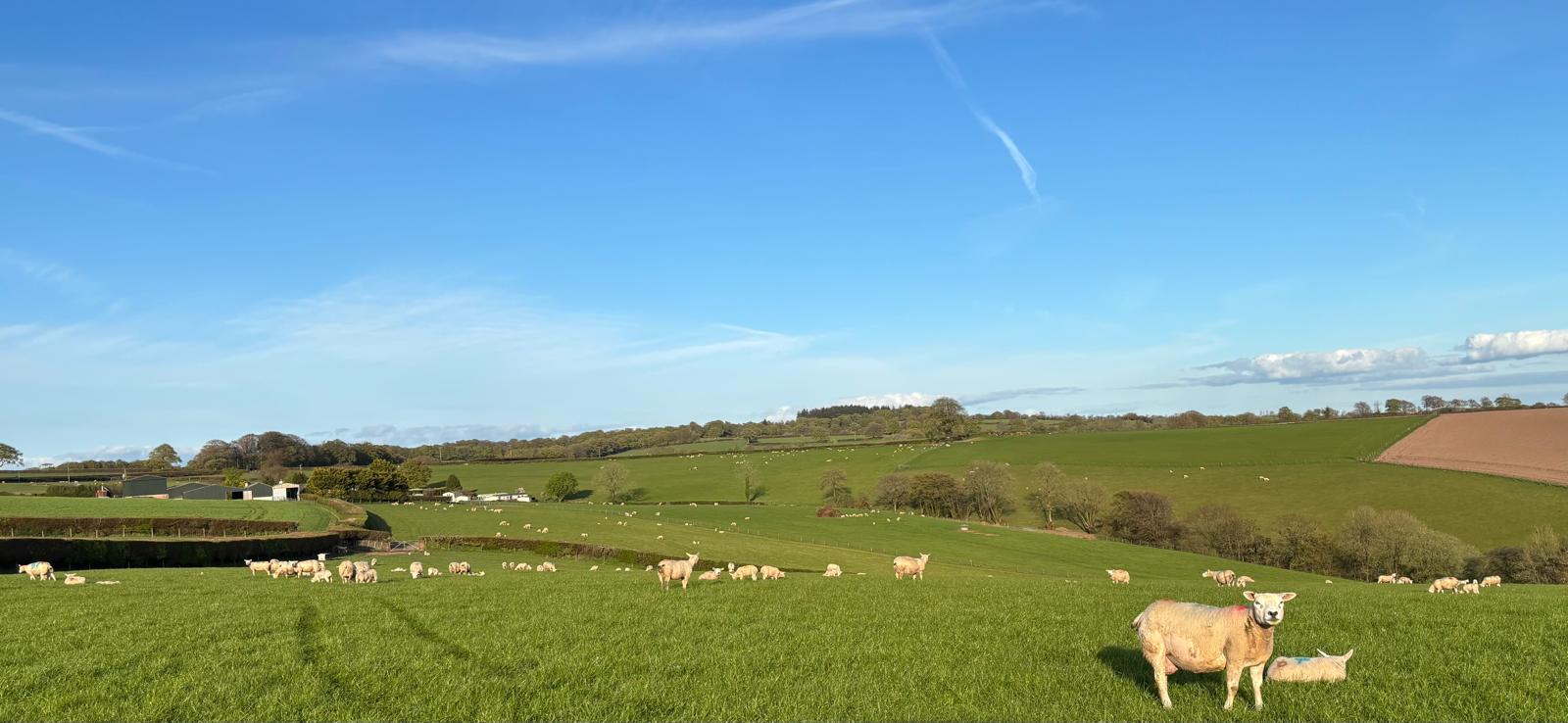 Oxenleaze Farms | Oxenleaze Farm Caravans