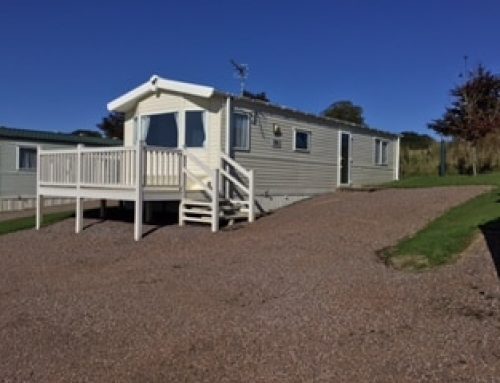 Willerby Rio Gold 2013